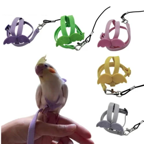 Ultra-light Parrot Bird Flying Traction Rope Straps